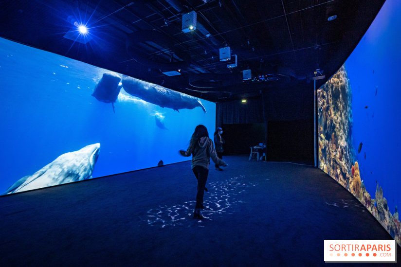 Photos : Odyssée sensorielle, l’expo immersive au Museum 