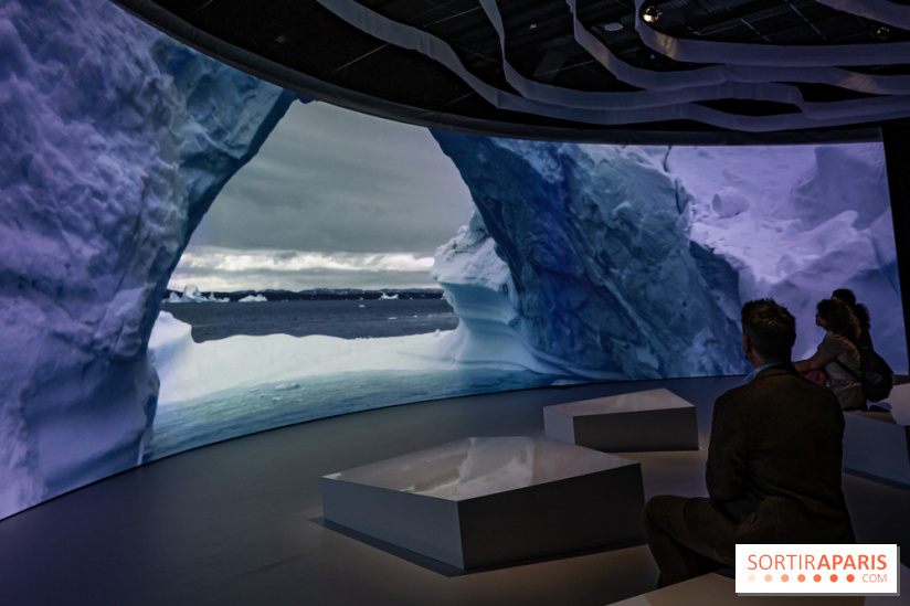 Photos : Odyssée sensorielle, l’expo immersive au Museum 