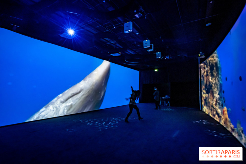 Photos : Odyssée sensorielle, l’expo immersive au Museum 