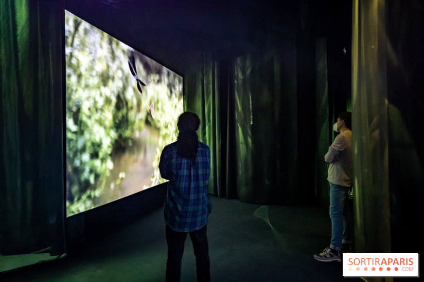 Photos : Odyssée sensorielle, l’expo immersive au Museum 