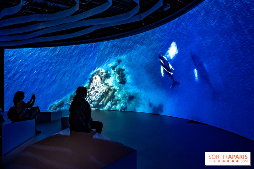 Photos : Odyssée sensorielle, l’expo immersive au Museum 