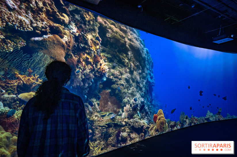 Photos : Odyssée sensorielle, l’expo immersive au Museum 