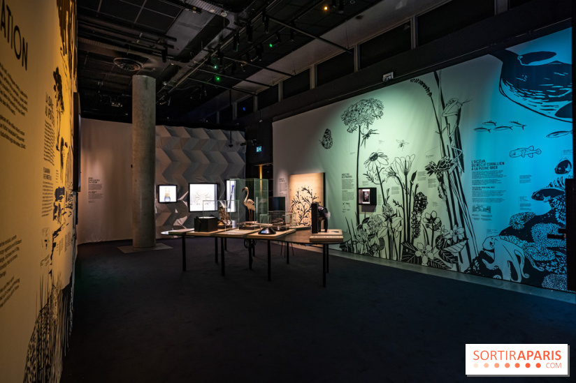 Photos : Odyssée sensorielle, l’expo immersive au Museum 