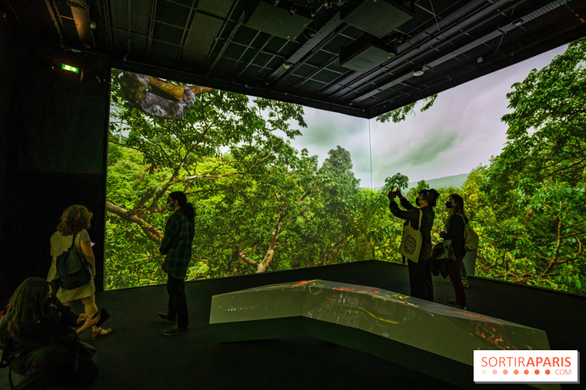 Photos : Odyssée sensorielle, l’expo immersive au Museum 