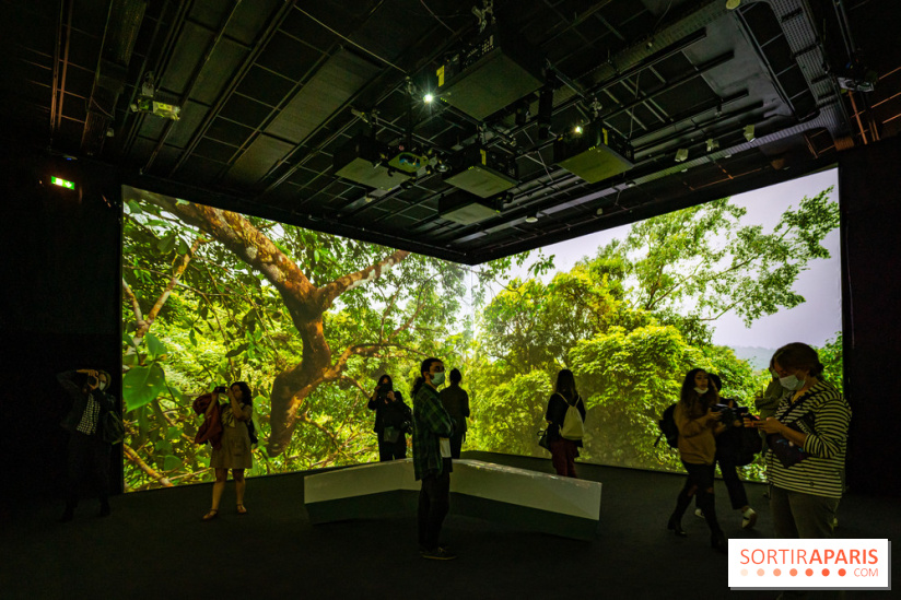 Photos : Odyssée sensorielle, l’expo immersive au Museum 