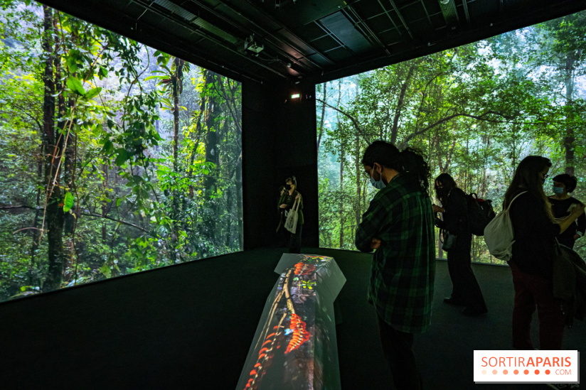 Photos : Odyssée sensorielle, l’expo immersive au Museum 