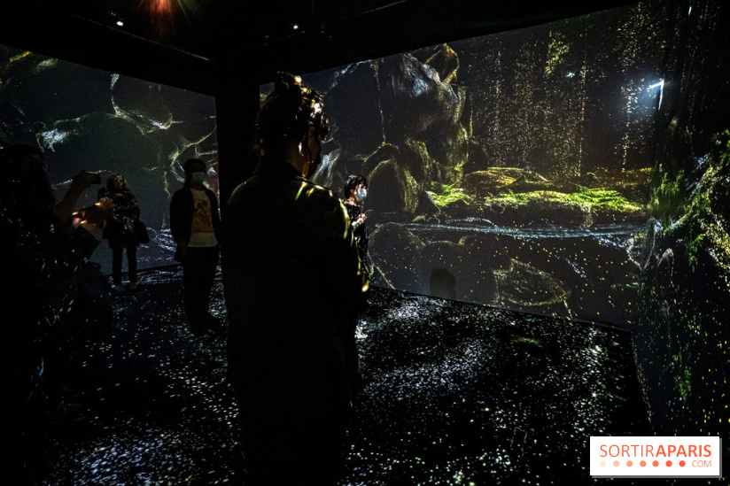 Photos : Odyssée sensorielle, l’expo immersive au Museum 