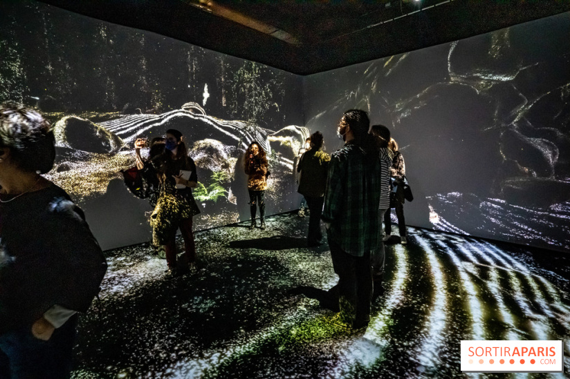 Photos : Odyssée sensorielle, l’expo immersive au Museum 