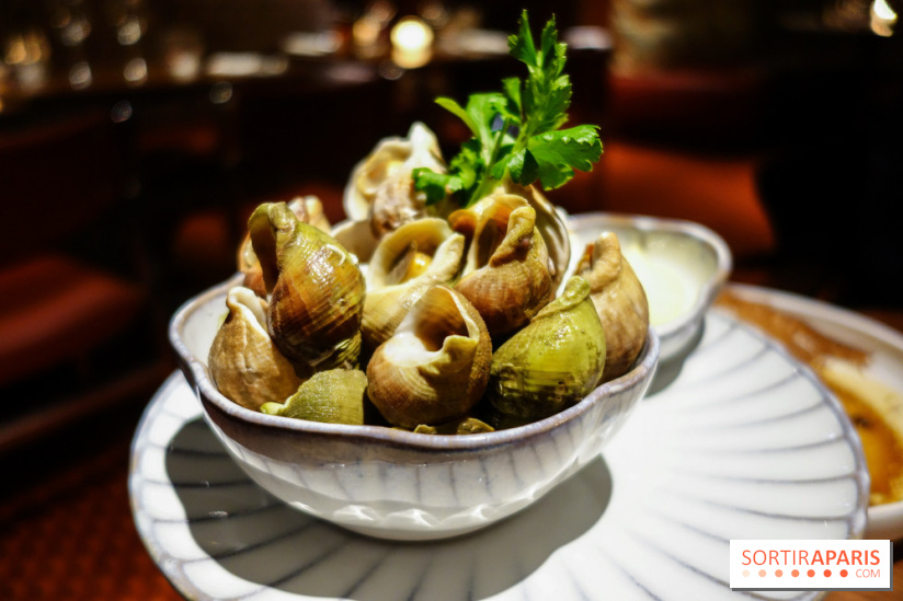 Le Petit Victor Hugo, nos photos