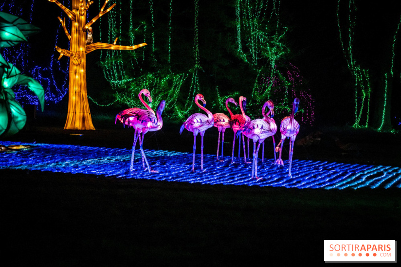 Thoiry Lumières Sauvages 2021-2022