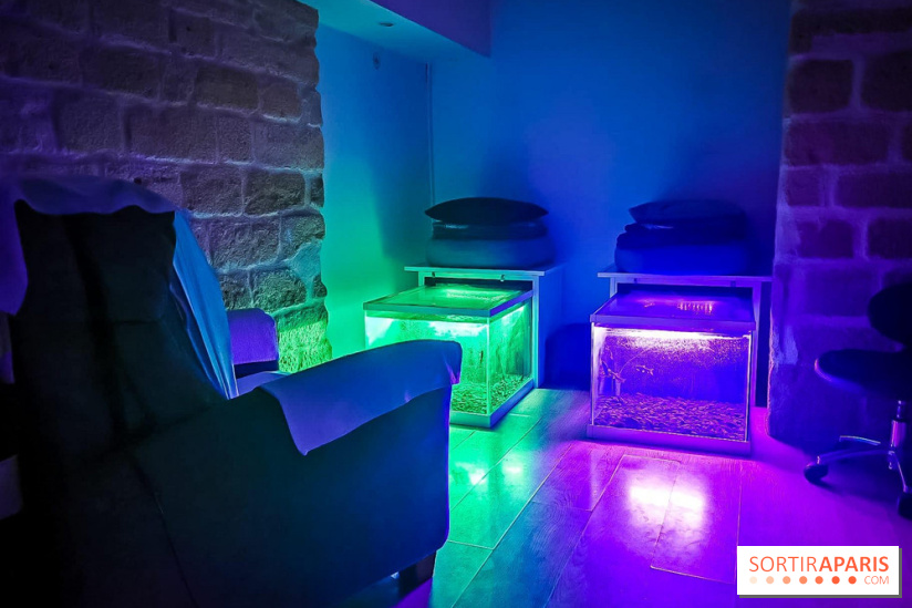 Un bar à sieste à Paris : offrez-vous un moment de détente avec ZZZen