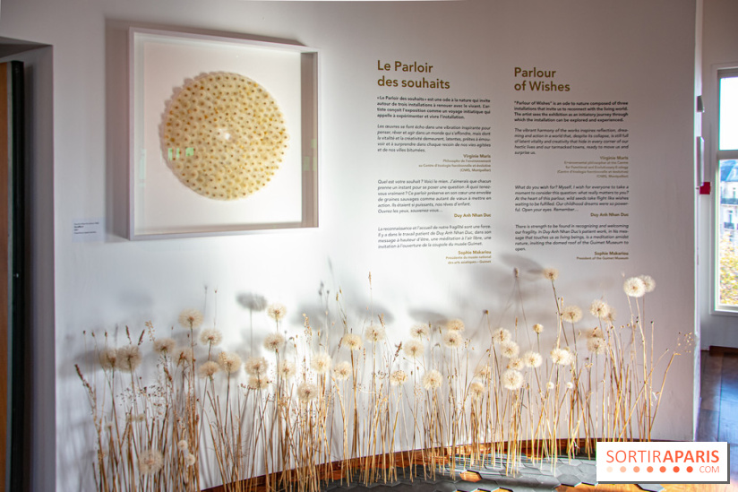 Le Musée Guimet propose une Carte blanche à Duy Anh Nhan Duc