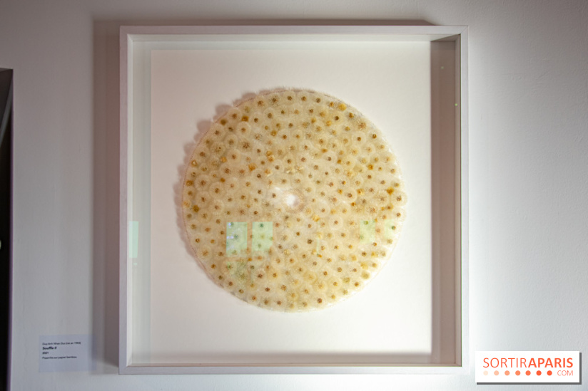 Le Musée Guimet propose une Carte blanche à Duy Anh Nhan Duc