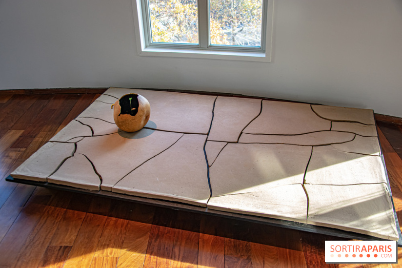 Le Musée Guimet propose une Carte blanche à Duy Anh Nhan Duc