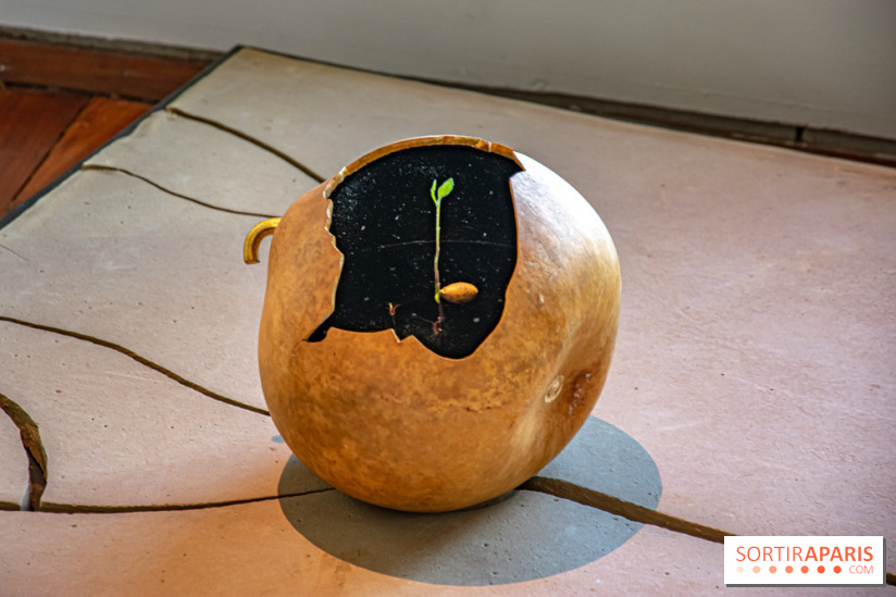 Le Musée Guimet propose une Carte blanche à Duy Anh Nhan Duc