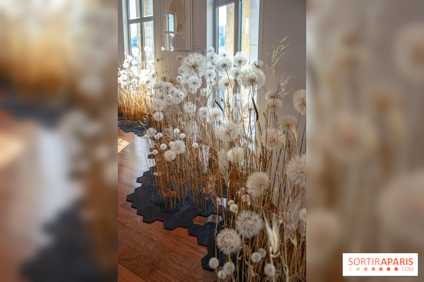 Le Musée Guimet propose une Carte blanche à Duy Anh Nhan Duc