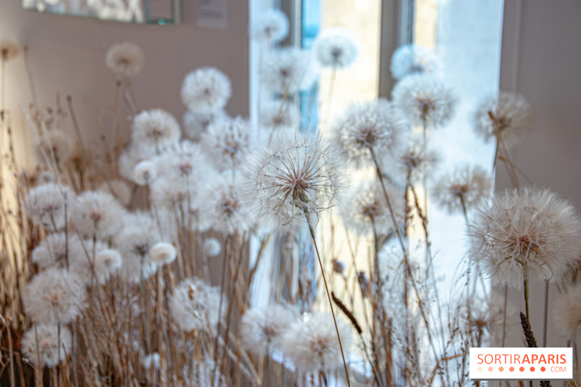 Le Musée Guimet propose une Carte blanche à Duy Anh Nhan Duc