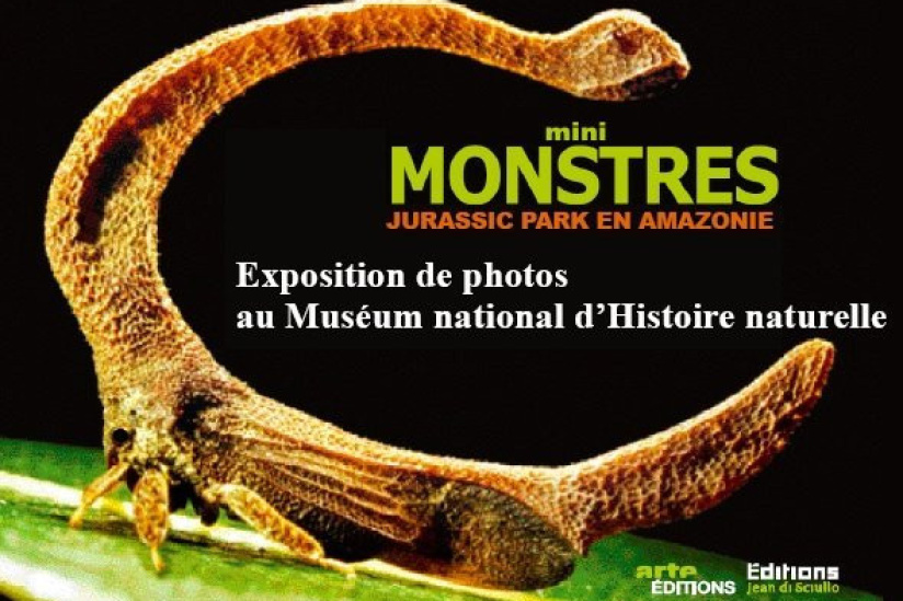 Mini Monstres, Jurassik Park, Amazonie, Exposition, Paris, Museum National d'Histoire Naturelle