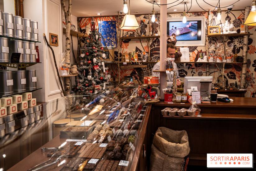 La Bûche de Noël de la Reine Astrid au mucilage 