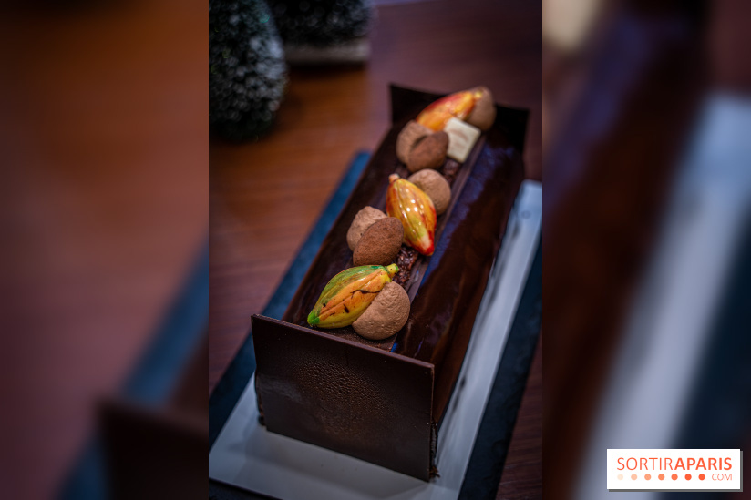 La Bûche de Noël de la Reine Astrid au mucilage 