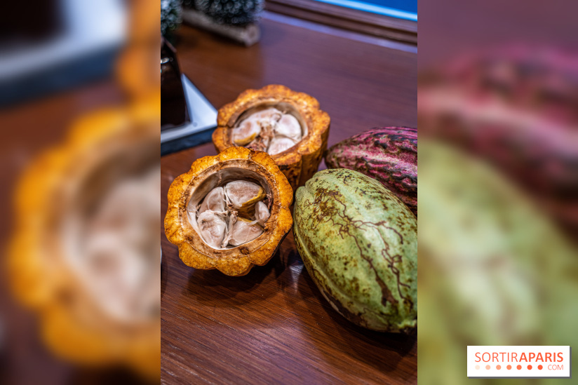 La Bûche de Noël de la Reine Astrid au mucilage 