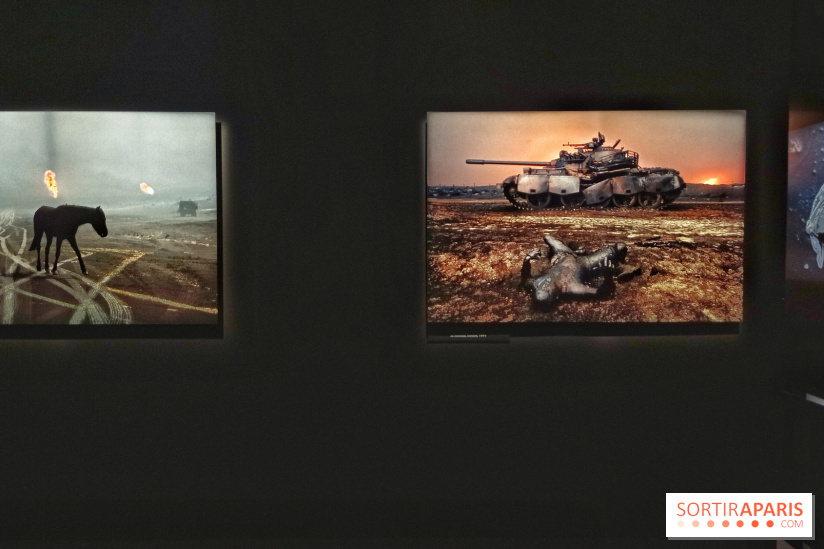 Le Monde de Steve McCurry, l'exposition photo dépaysante du Musée Maillol - nos photos