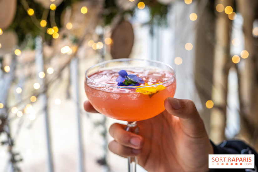 La Maison Louveciennes en chalet d'hiver, les photos