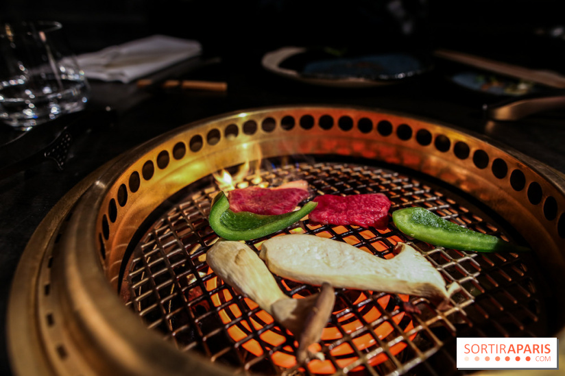 1129 iiniku, nos photos