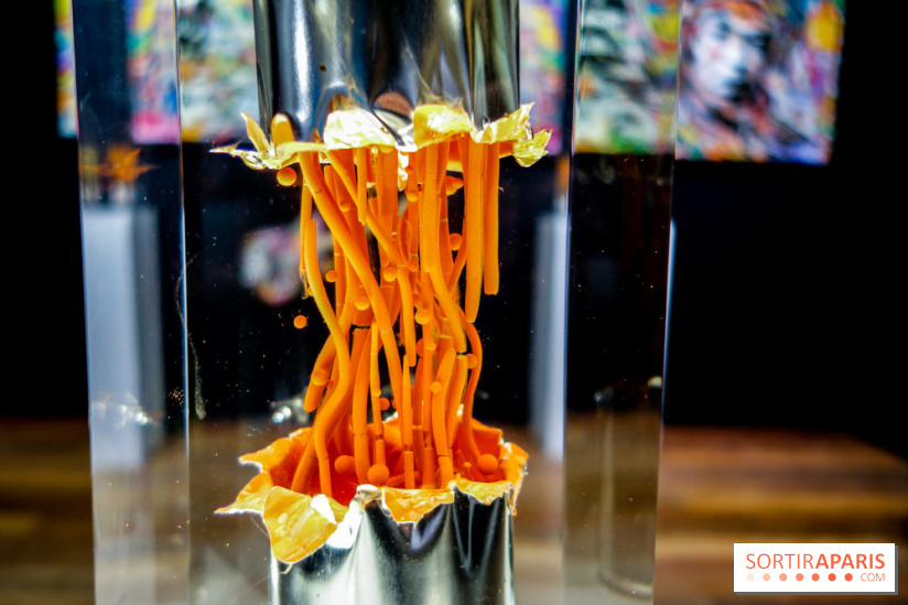 District 13 Art Fair 2022, nos photos