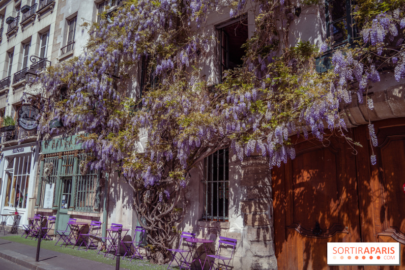 Les cafés fleuris de Paris