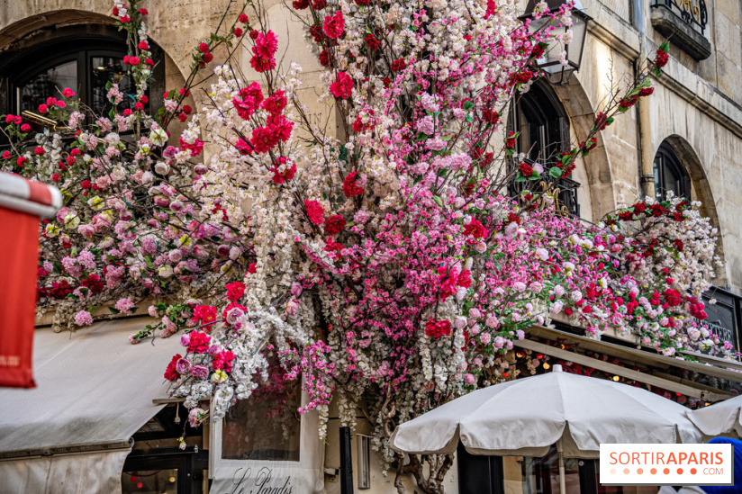 Les cafés fleuris de Paris