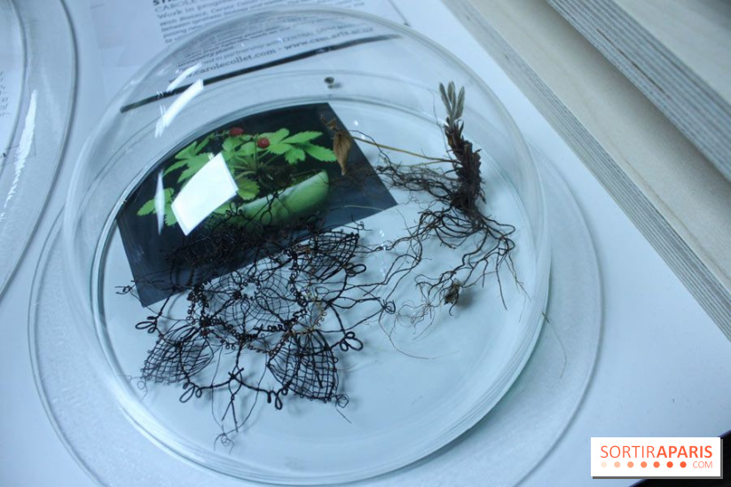 Futurotextiles 3 à la Cité des Sciences : fraisier