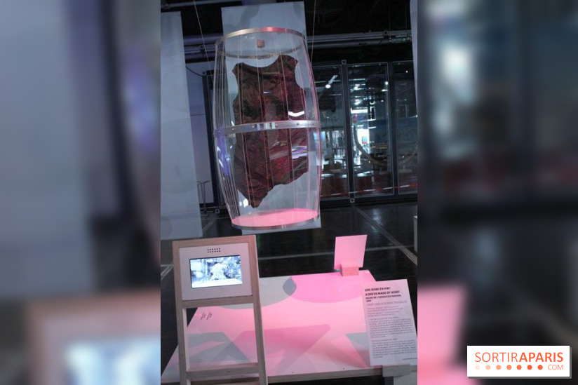 Futurotextiles 3 à la Cité des Sciences : marc de vin