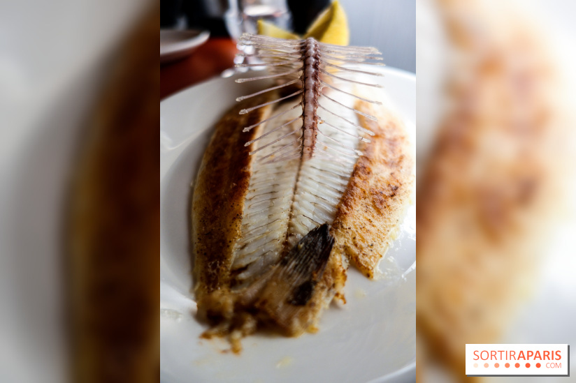 Les Petits Bateaux à Paris, nos photos 