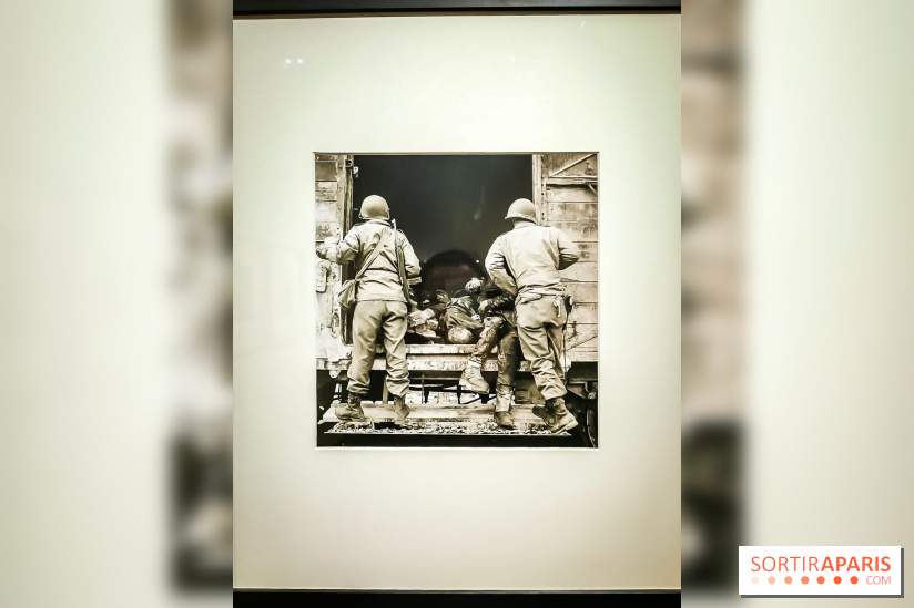 Femmes photographes de guerre, l'exposition du musée de la Libération - nos photos
