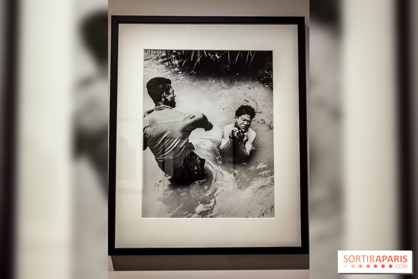 Femmes photographes de guerre, l'exposition du musée de la Libération - nos photos