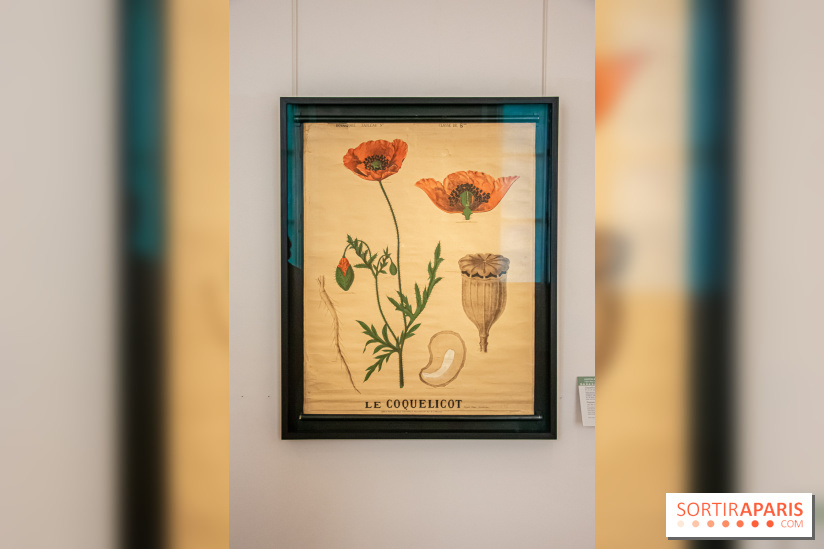 Delacroix et la nature, nos photos de l'exposition au musée Delacroix