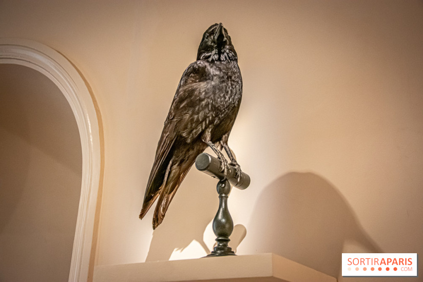 Delacroix et la nature, nos photos de l'exposition au musée Delacroix