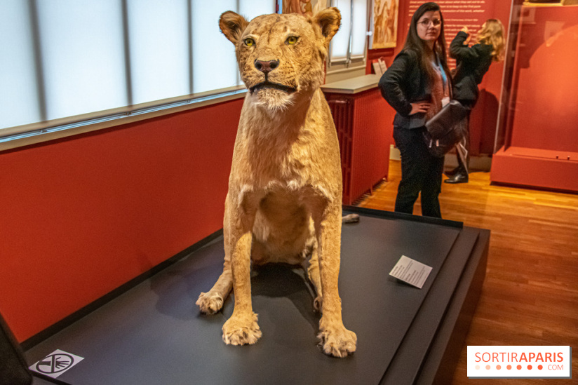 Delacroix et la nature, nos photos de l'exposition au musée Delacroix