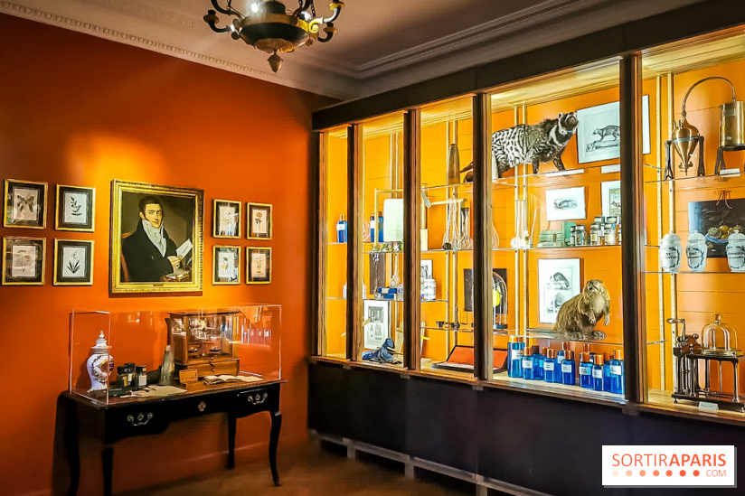 Le Musée du Parfum Fragonard : un trésor méconnu à deux pas du Palais Garnier