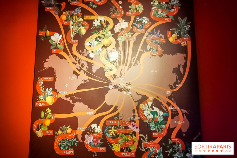 Le Musée du Parfum Fragonard : un trésor méconnu à deux pas du Palais Garnier