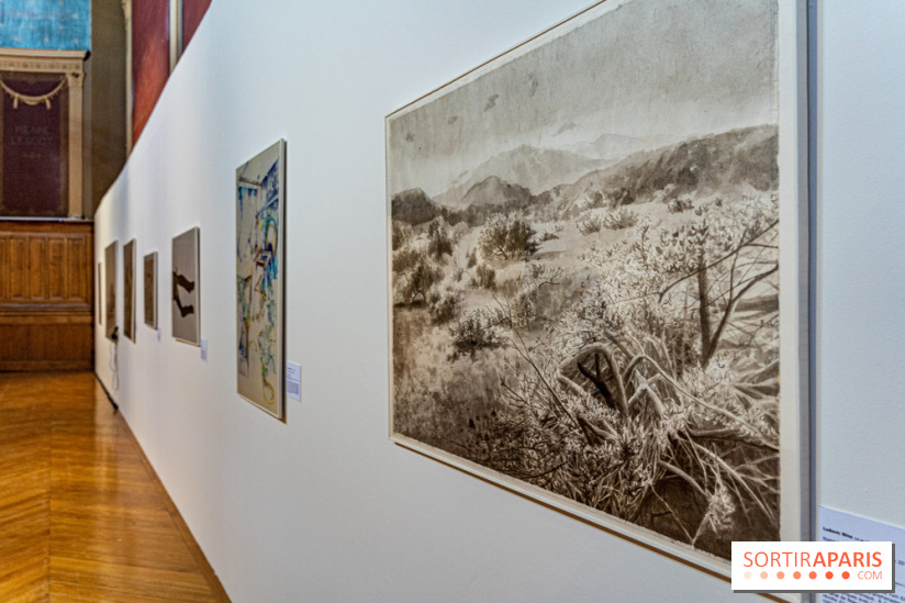 Le Partage d'une passion pour le dessin, l'exposition aux Beaux-Arts de Paris