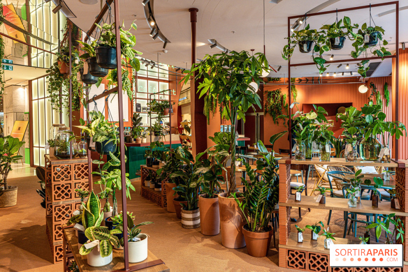 Le Café Vert du Printemps Haussmann 