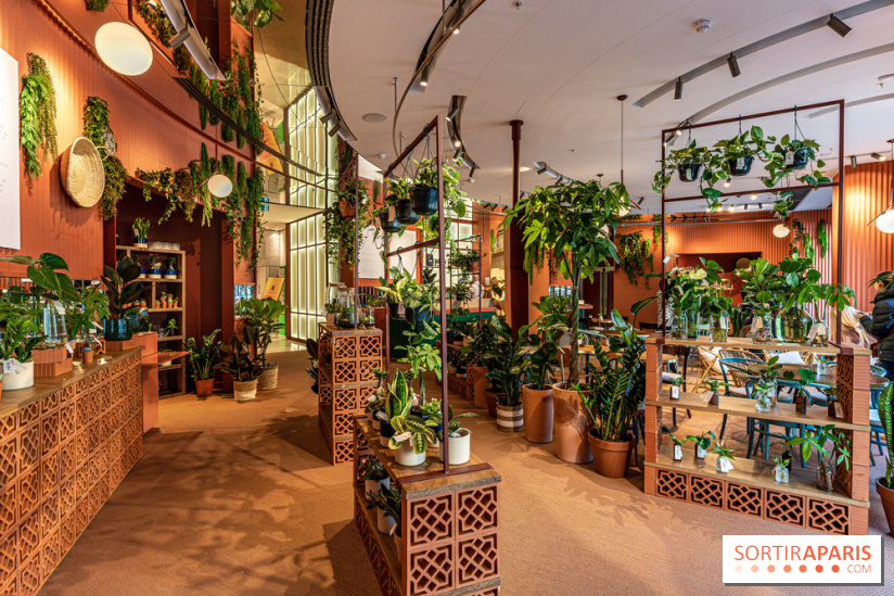 Le Café Vert du Printemps Haussmann 