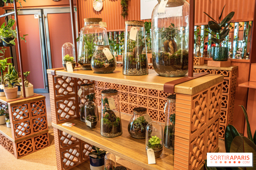 Le Café Vert du Printemps Haussmann 