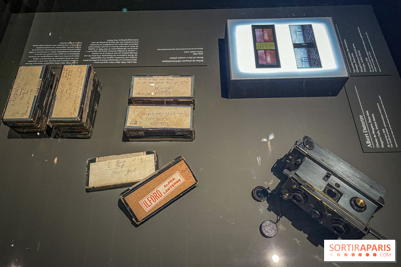 Le nouveau Musée Albert Kahn se dévoile 