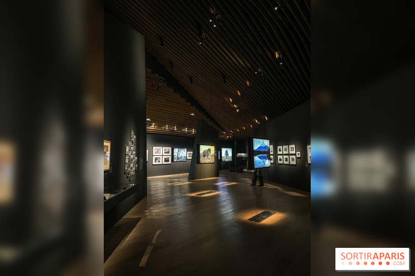 Le nouveau Musée Albert Kahn se dévoile 