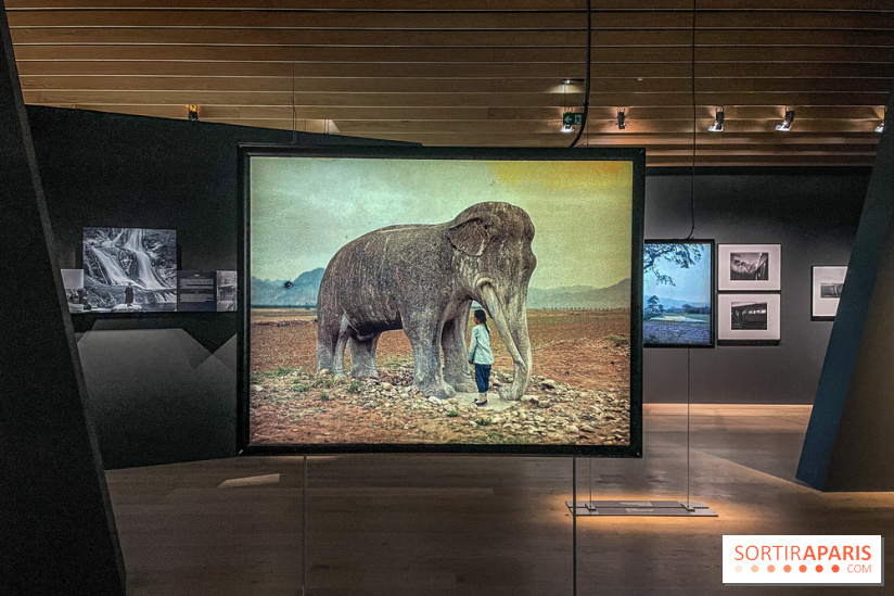 Le nouveau Musée Albert Kahn se dévoile 