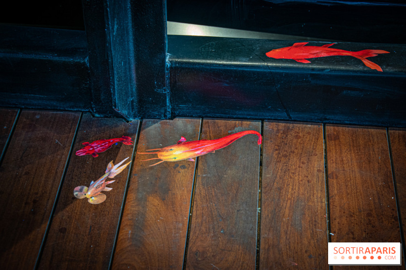 Exposition à Fluctuart, Plongée en eaux troubles - nos photos