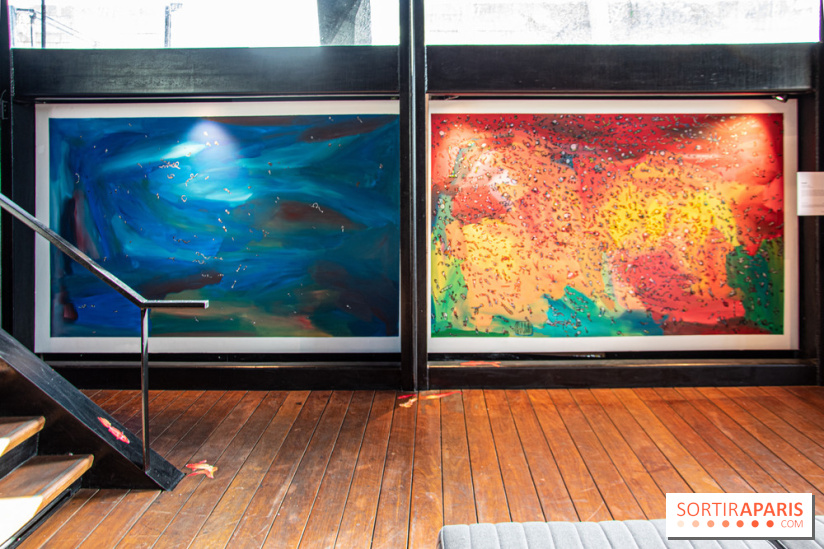 Exposition à Fluctuart, Plongée en eaux troubles - nos photos